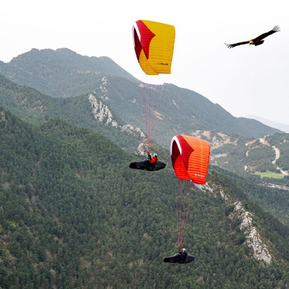 Gin Avid Paragliding Wing