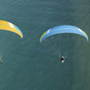 Niviuk Dobermann 3 Paragliding Wing