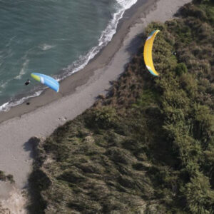 Niviuk Dobermann 3 Paragliding Wing