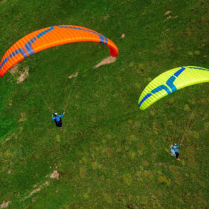 Ozone Buzz Z7