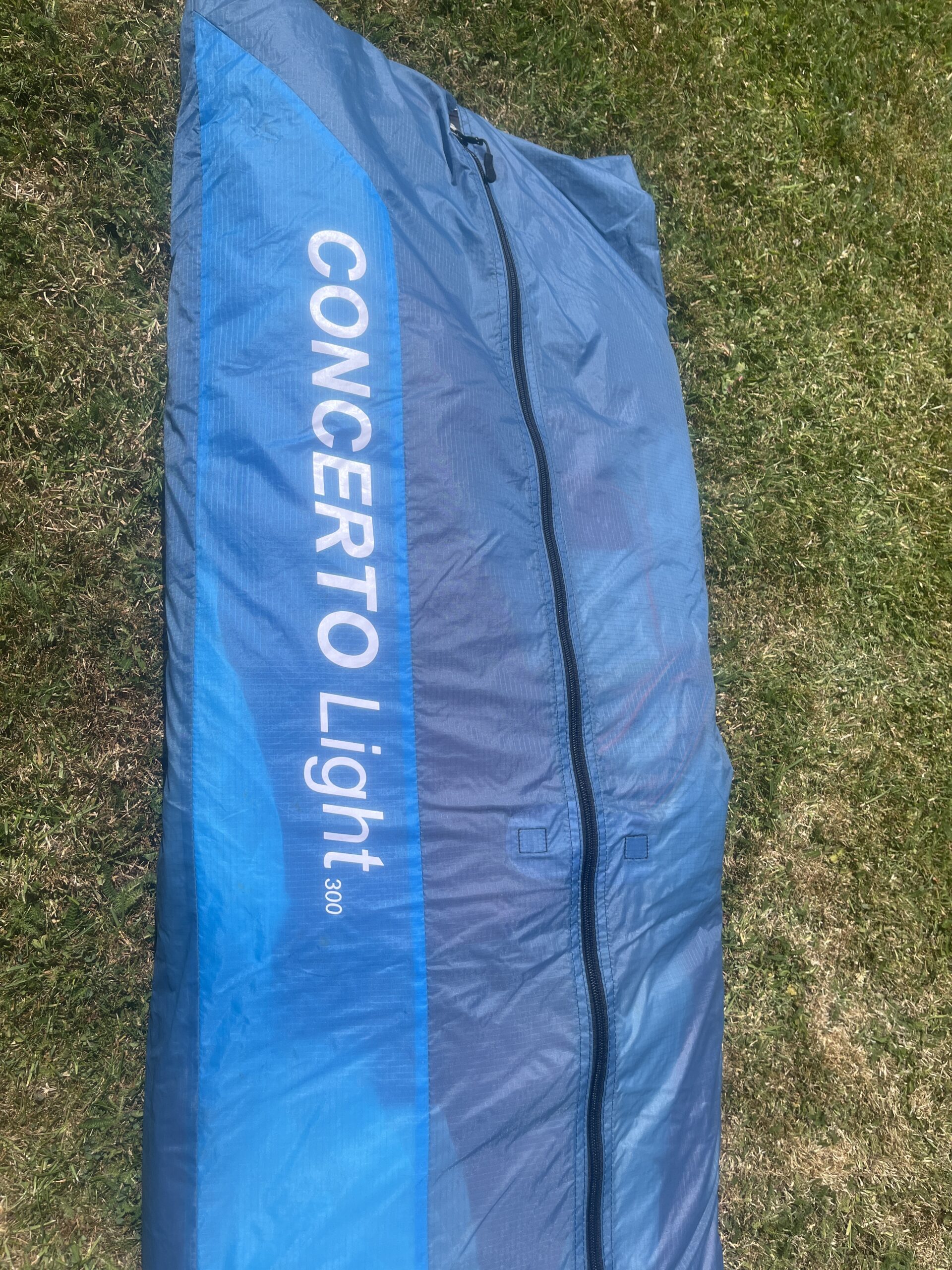 Ozone Buzz Z7 Size L 95kg-115kg Custom colour - Leavesley Aviation